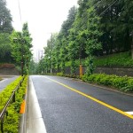 大雨の日の打合せに便利なデザイナーのためのアイテム紹介/この時期だけの景色