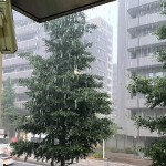 健康診断に行ってきました